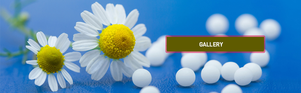 Medicine For Stress In Homeopathy Ahmedabad | homeopathic depression treatments In Paldi | dandruff homeopathic clinic In Ambawadi - Hemraj Homeo Clinic in ambawadi Ahmedabad